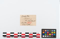 Foto von Bronzepferdchenfibel (NHMW-PRAE-024654)